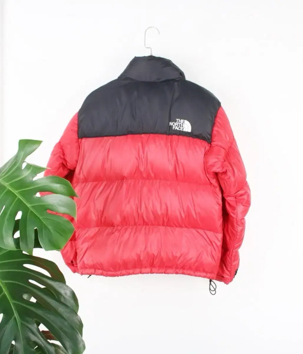 thumbnail-8